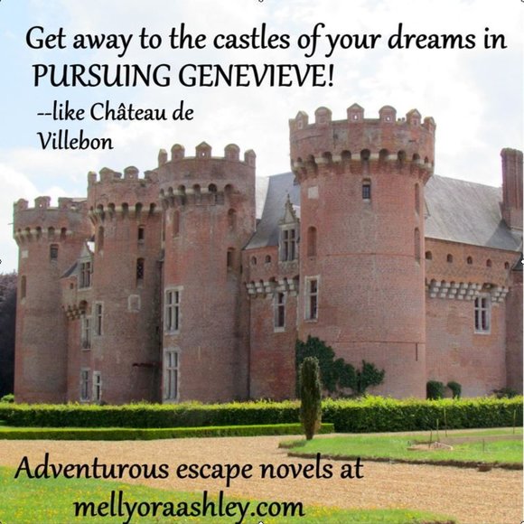 ROMANCE NOVEL: PURSUING GENEVIEVE by MELLYORA ASHLEY, HISTORICAL SERIES 5 STARS - Picture 1 of 7